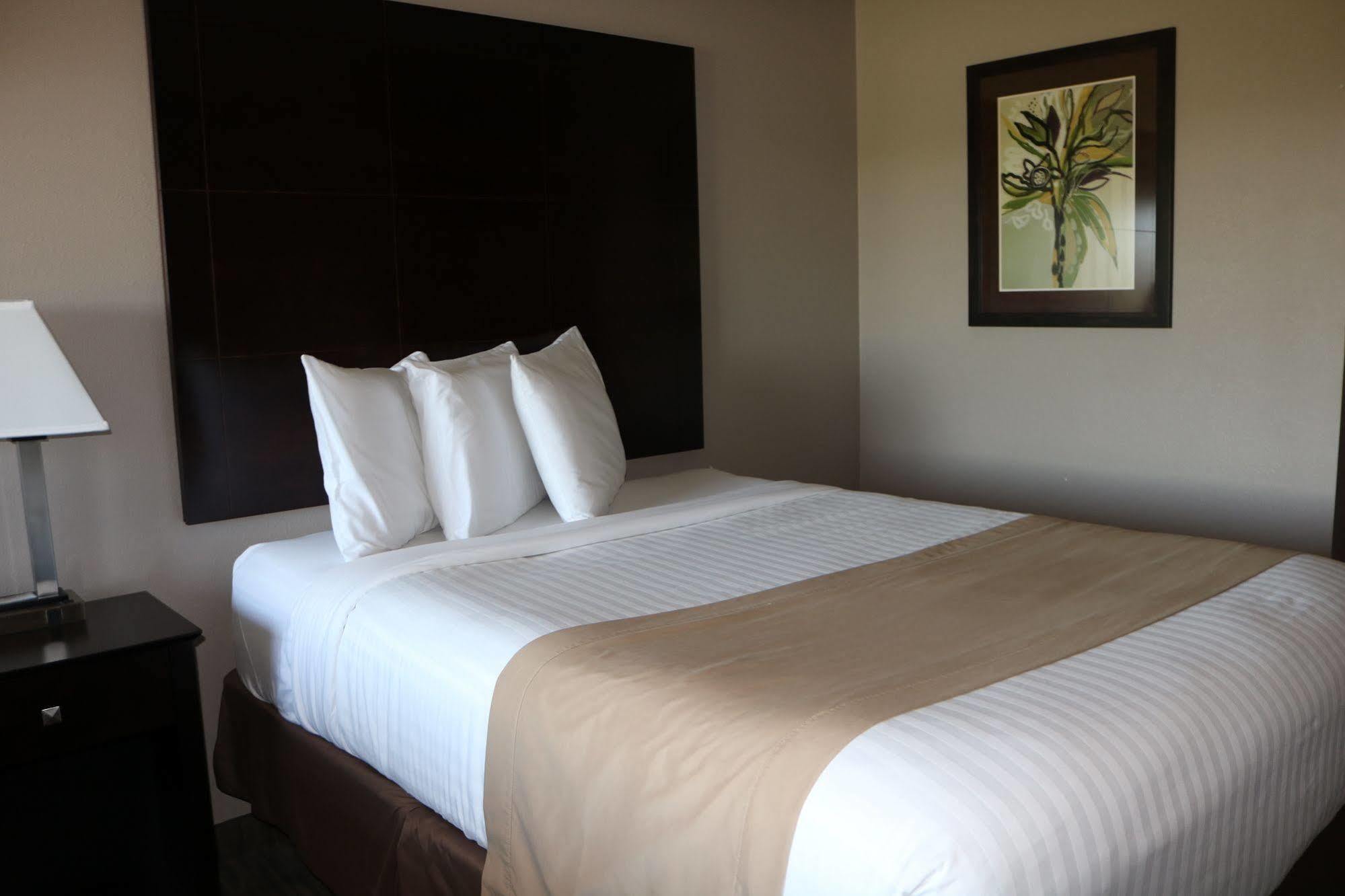 Qube Hotel - Polk City ภายนอก รูปภาพ